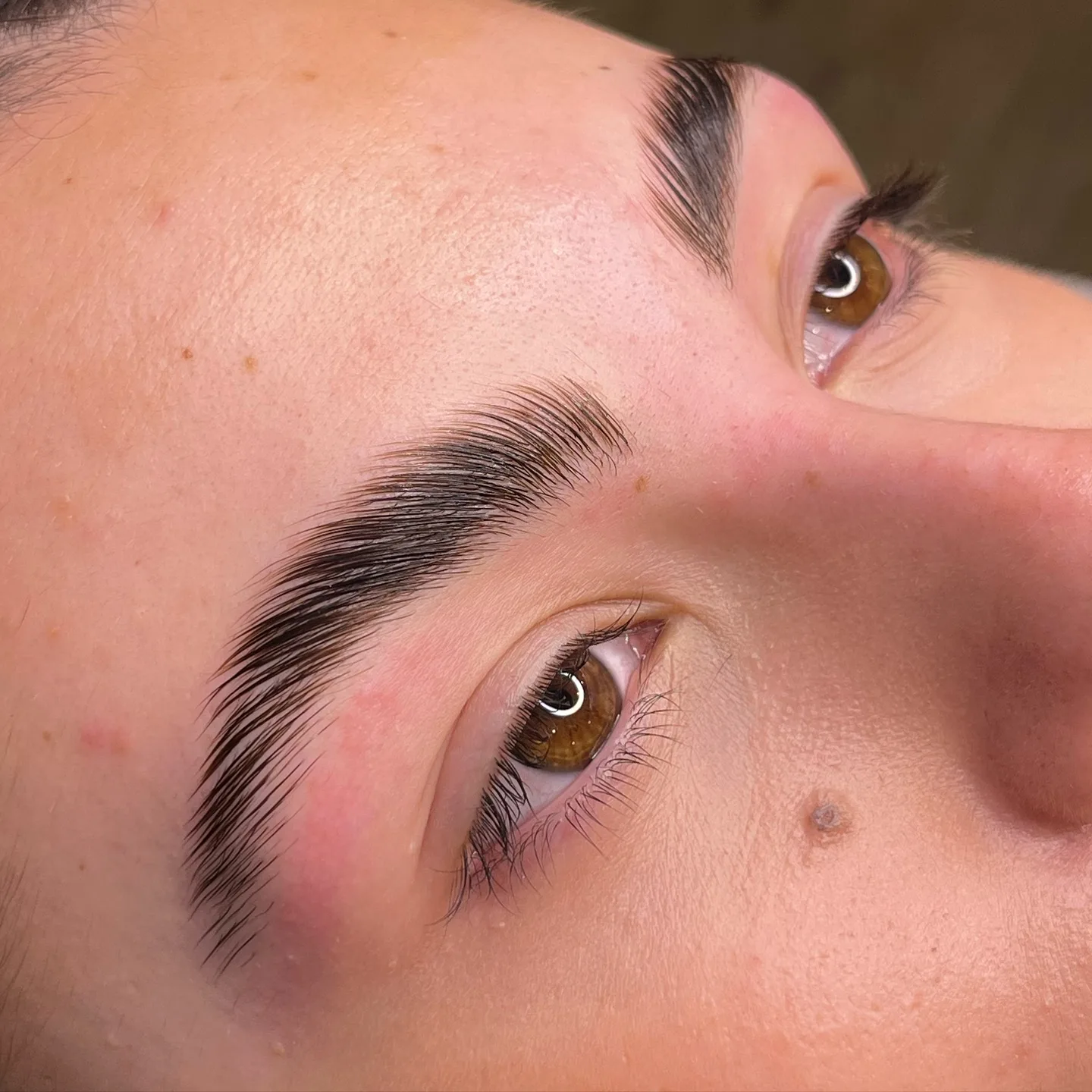 Brow lamination result close-up — full, fluffy laminated arch with open eye