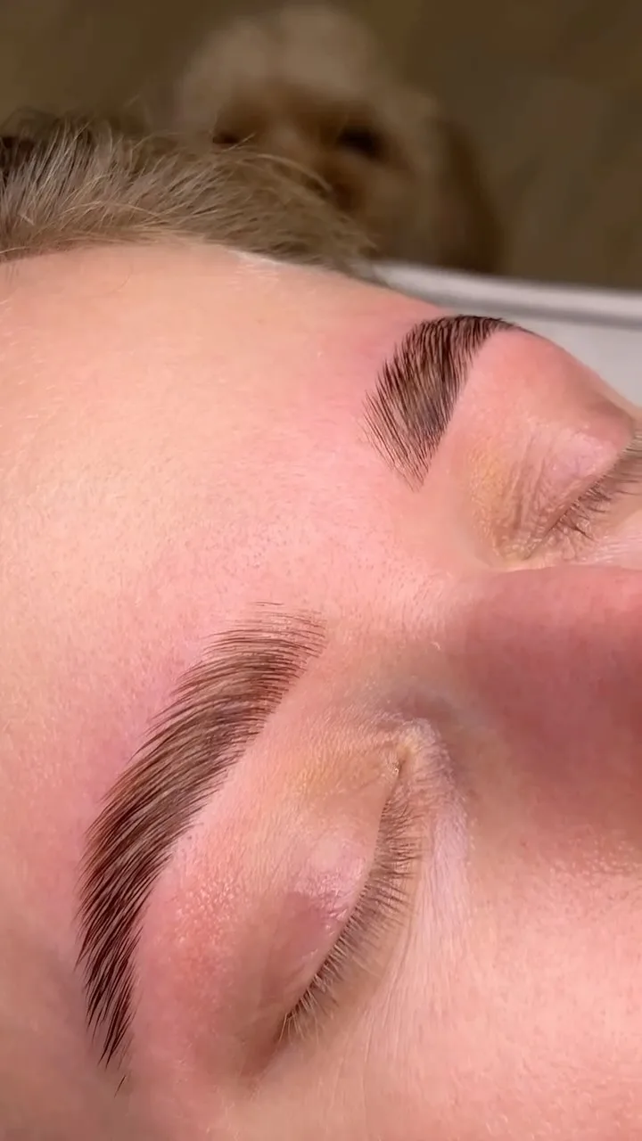 Closed eye showing laminated brow and lifted lashes together